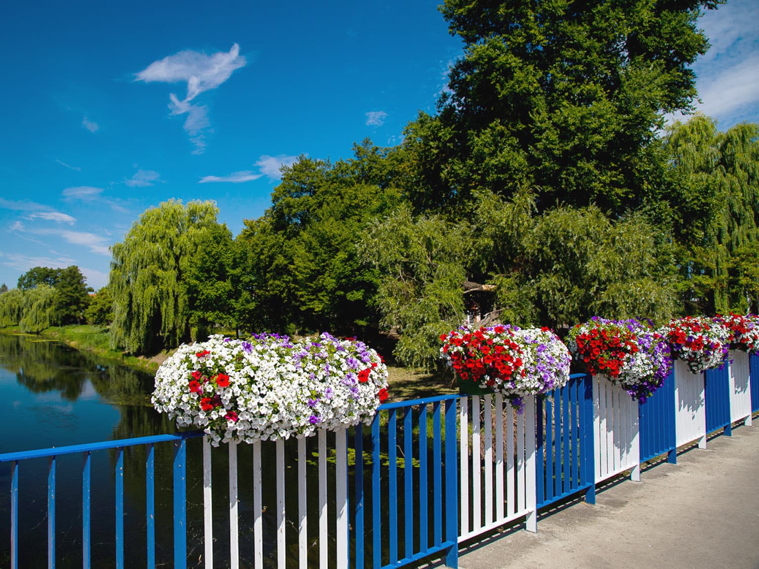 Skrzynki Kwiatowe na Balustradzie